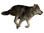 Site hosted by Neocities